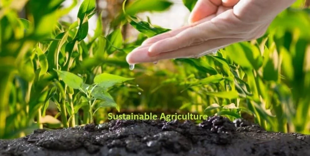 New-Gen-agri-grads-taking-up-sustainable-agri-startups-seriously-Fateh-Rural-chief