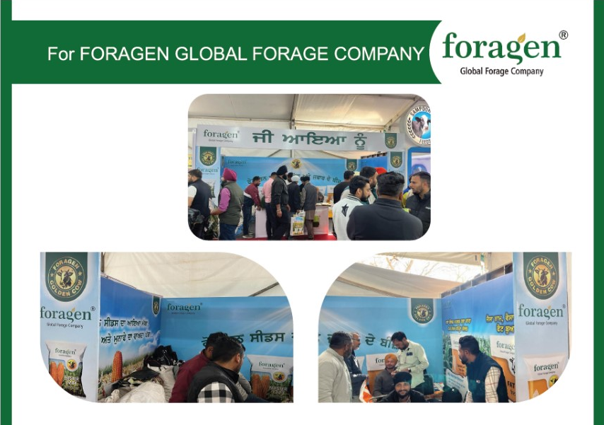 Foragen Global Forage Company Rural Marketing Stall Setup by Fateh Rural Limited in India