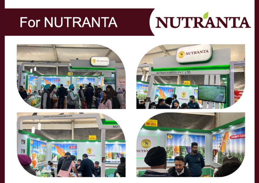 Nutranta Rural Marketing Stall Setup by Fateh Rural Limited in India