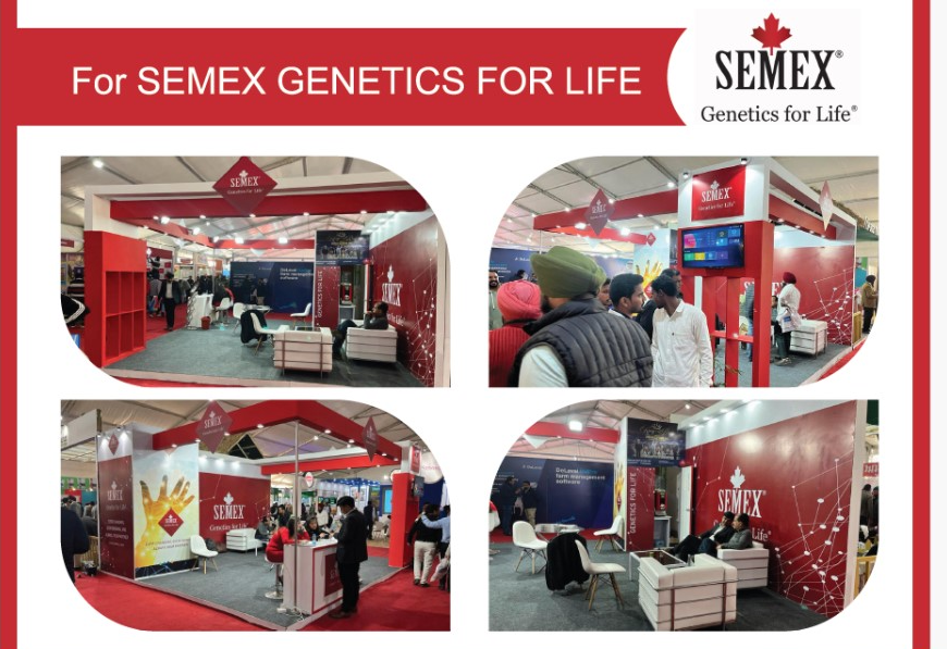 Semex Genetics  For Life Rural Marketing Stall Setup by Fateh Rural Limited in India
