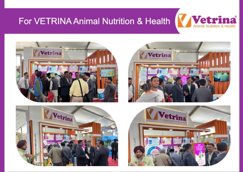 Vetrina Animal Nutrition & Health Rural Marketing Stall Setup by Fateh Rural Limited in India